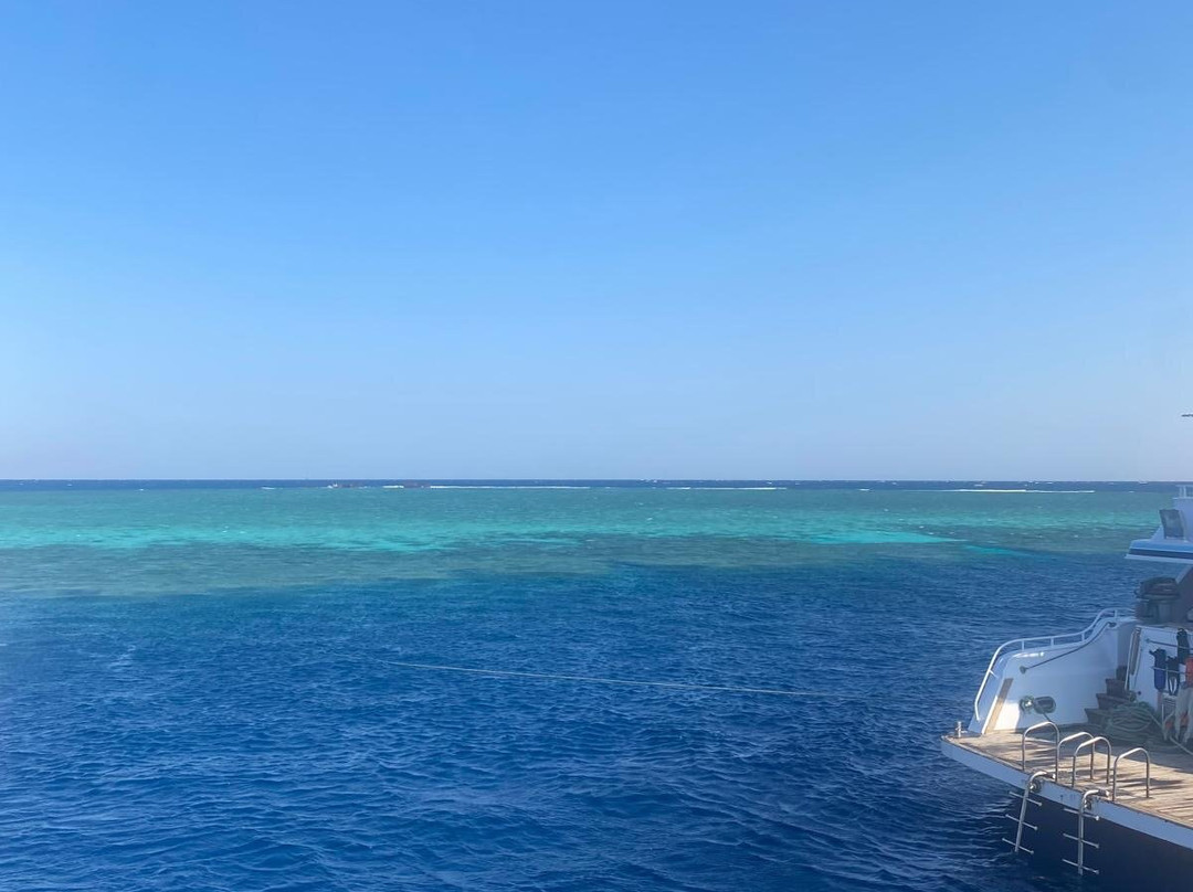 Sinai Dive Club-沙姆沙伊赫必去景点