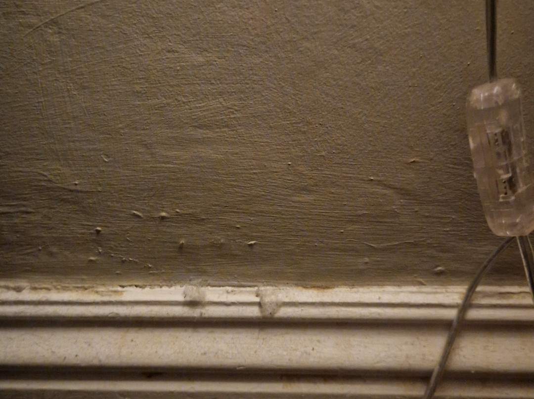 Ramside Hall Hotel主图