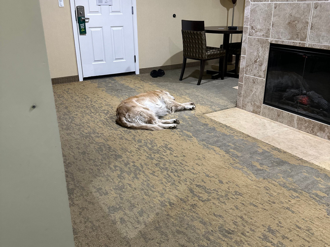 圣马特奥旧金山SFO假日酒店主图