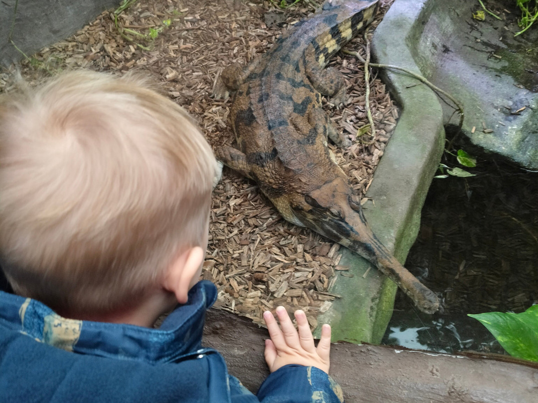 Krokodille Zoo-Eskilstrup必去景点