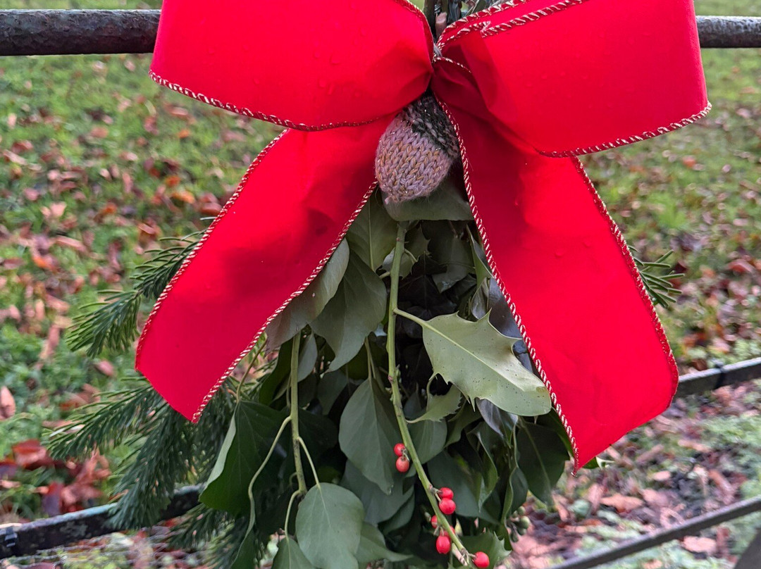 Dorwyn Manor B&B主图