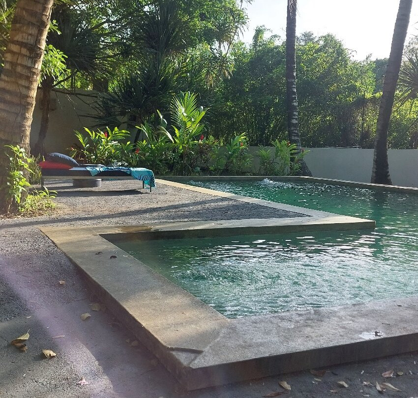 Nativ Lodge & Spa主图