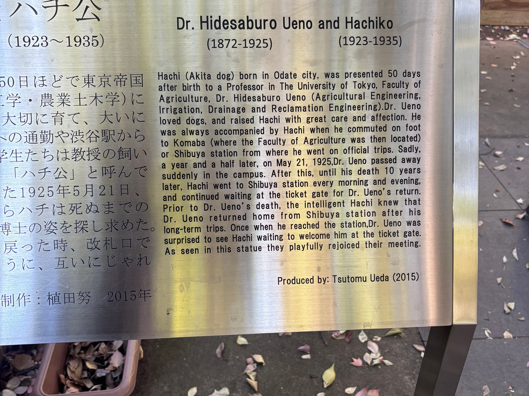 Statue of Hachiko & Hidesaburo Ueno-文京区必去景点