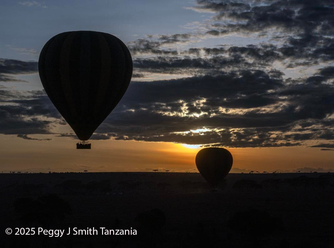 Leopard Tours Limited-阿鲁沙必去景点