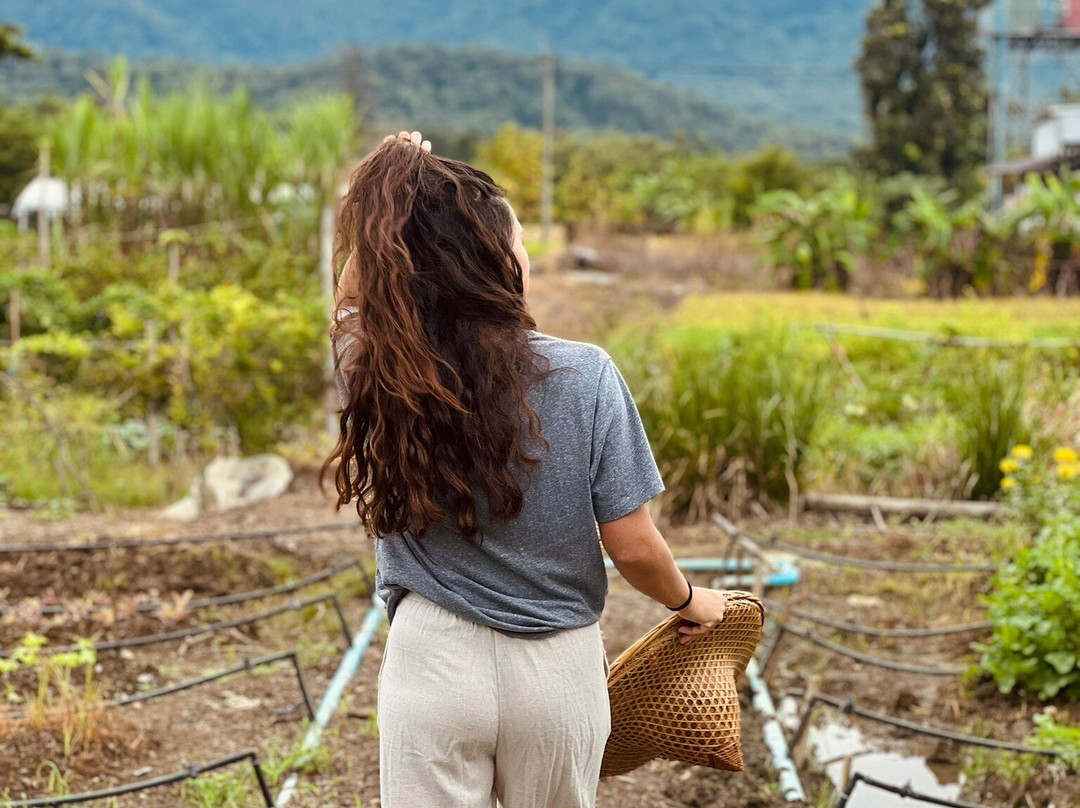Rai Pluk Rak Thai Organic Farm-挽桴必去景点