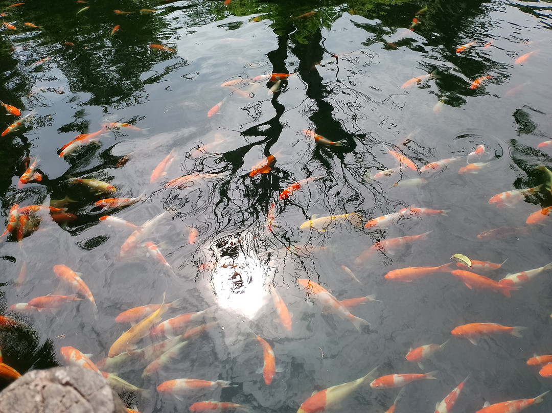 Aquatopia Water Park-Hon Thom Island必去景点