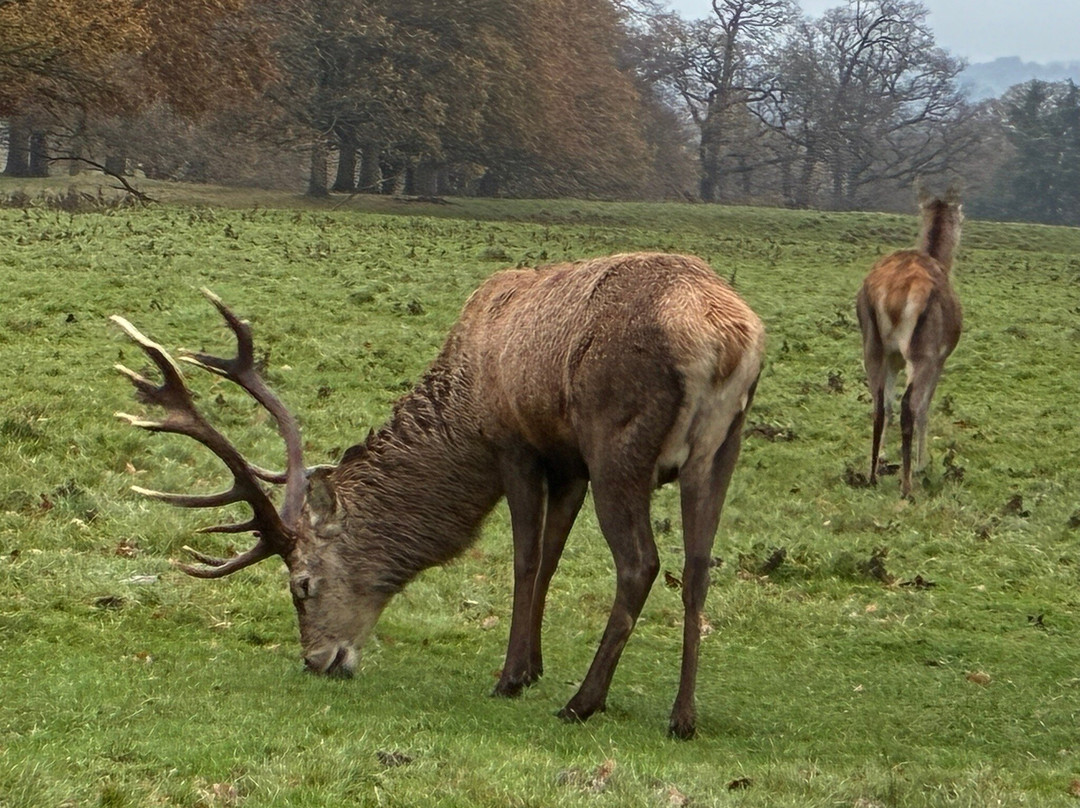 Holme Grange Farm主图
