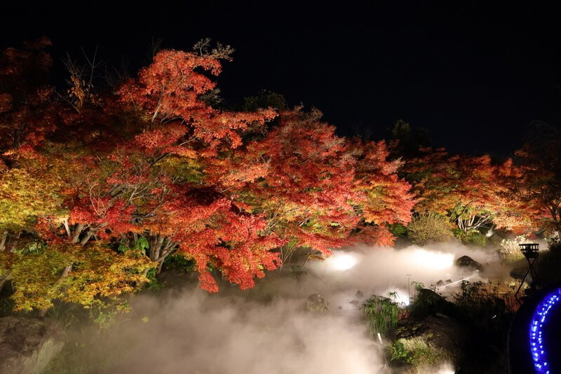名花之乡-桑名市必去景点
