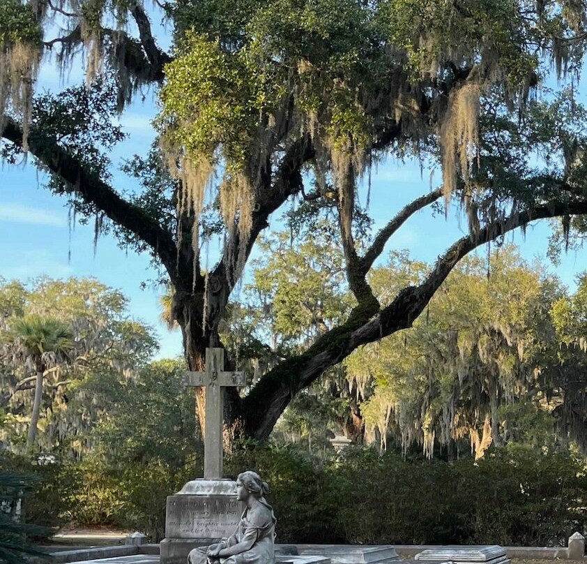 Bonaventure Don-萨凡纳必去景点