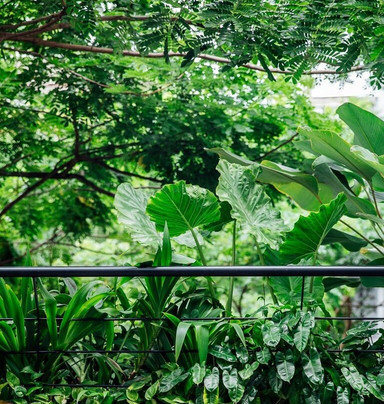 Treeline Urban Resort主图