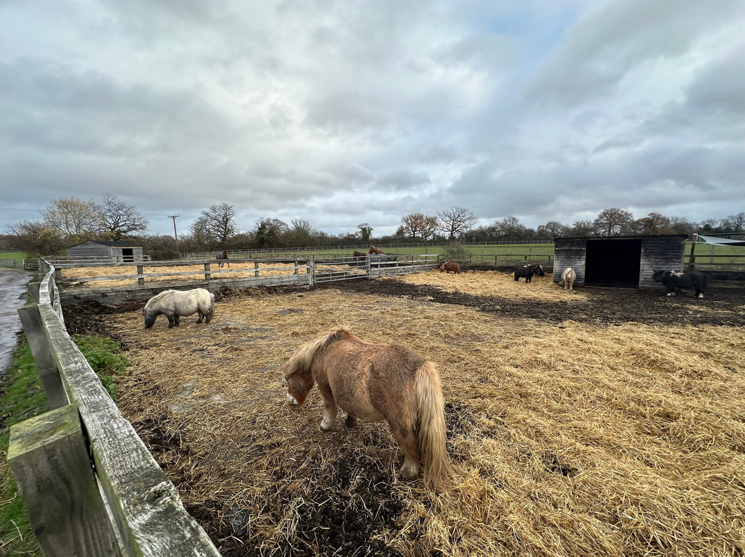 Redwings Ada Cole-Nazeing必去景点