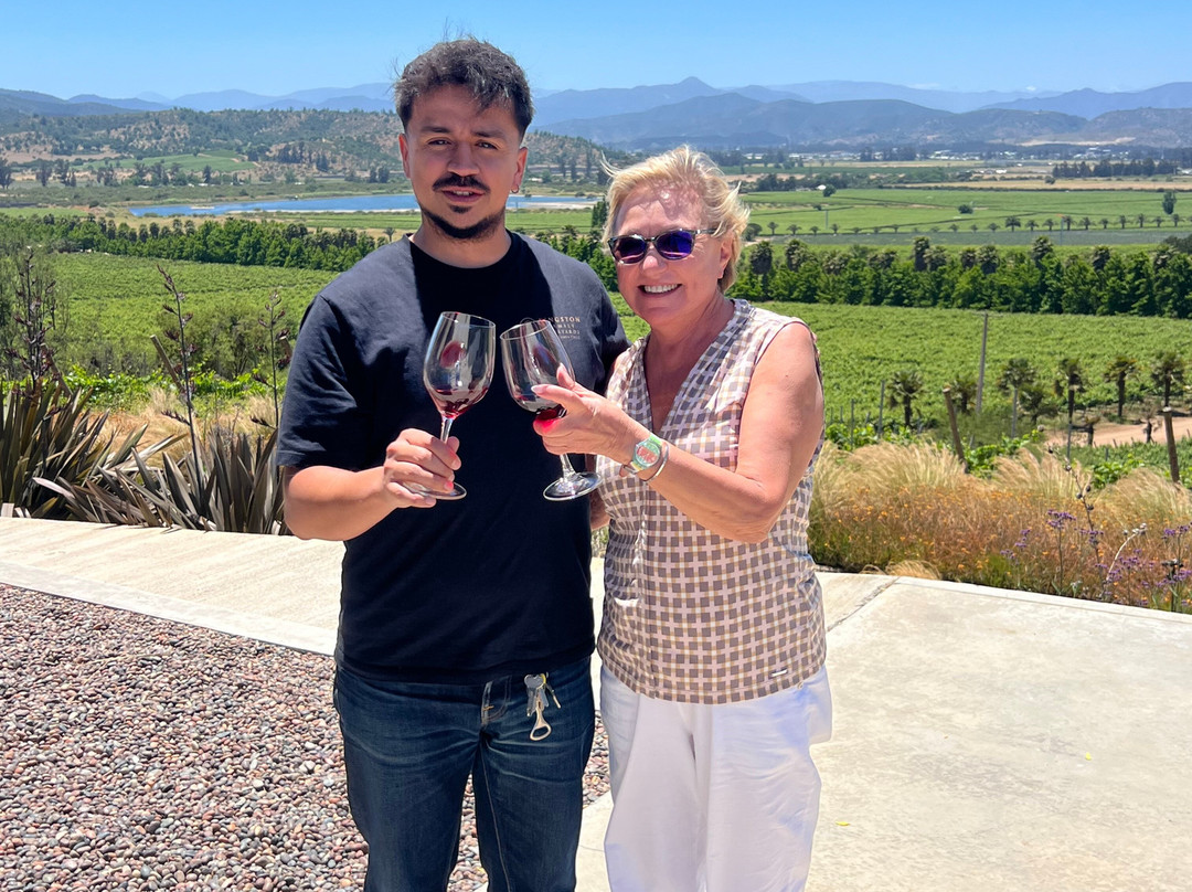 Kingston Family Vineyards-卡萨布兰卡必去景点