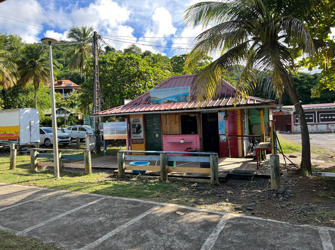 Anse Caraibe Plongee-瓜德罗普岛必去景点