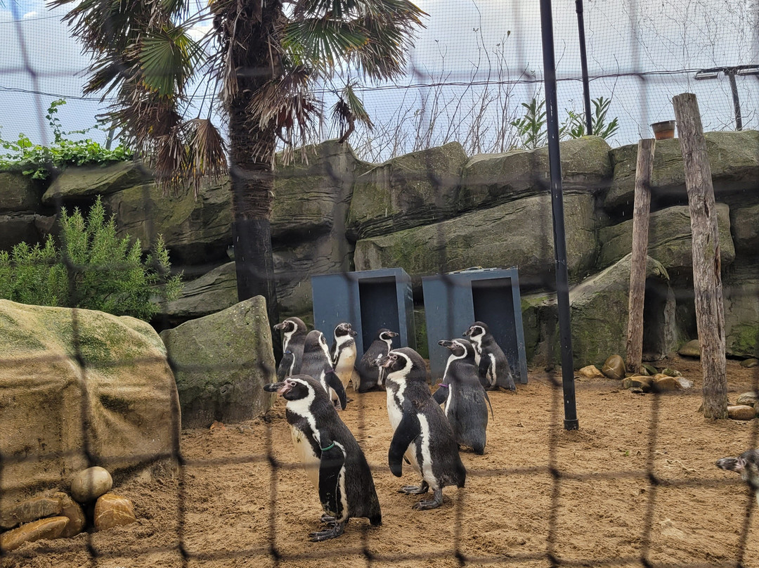 Sea Life Blankenberge-布朗肯堡必去景点