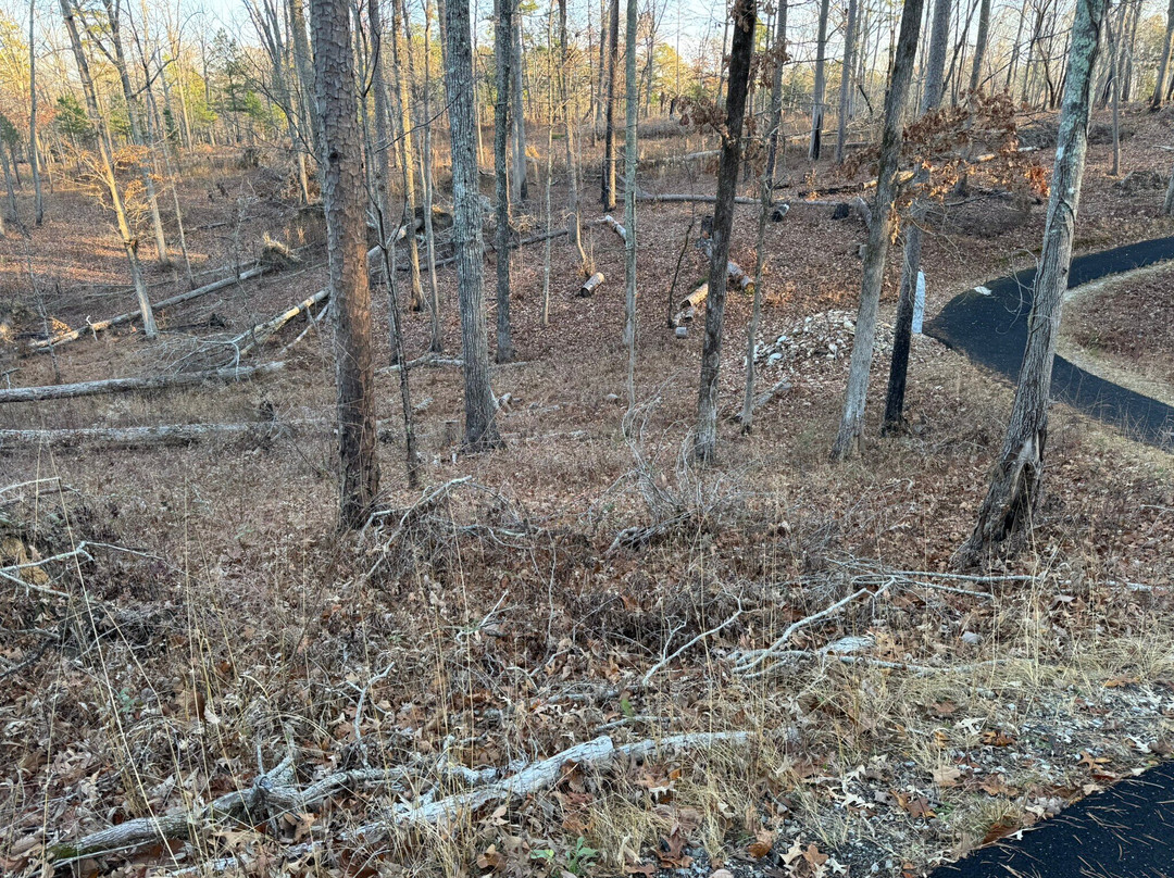 Kings Mountain National Military Park-Blacksburg必去景点