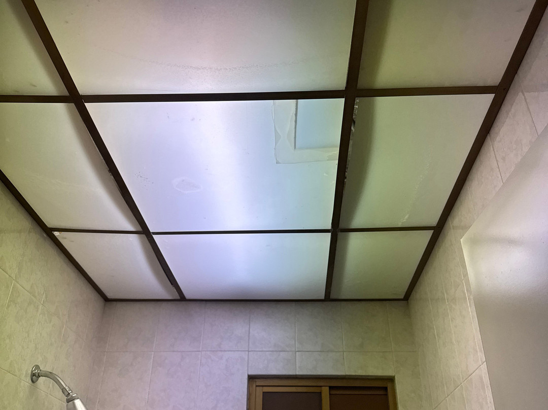 Best Western Plus Plaza Florida & Tower主图