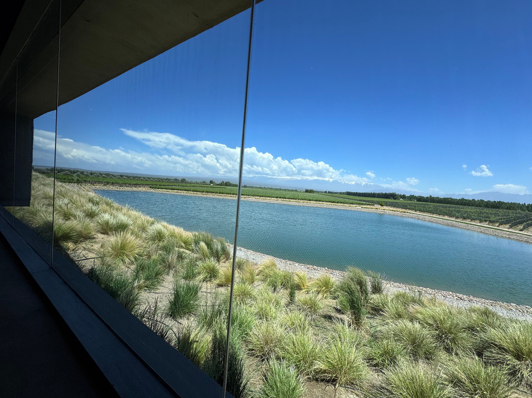 This is Mendoza-门多萨必去景点