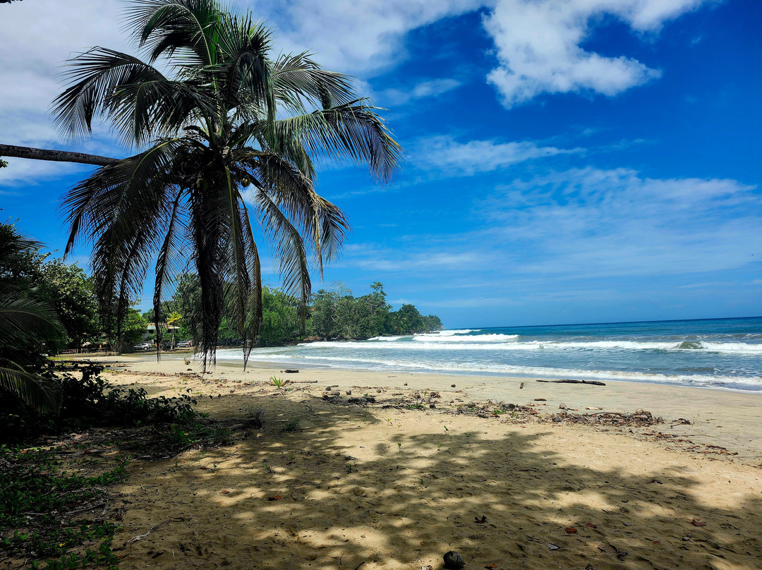 Pacific Trade Winds-Nuevo Arenal必去景点