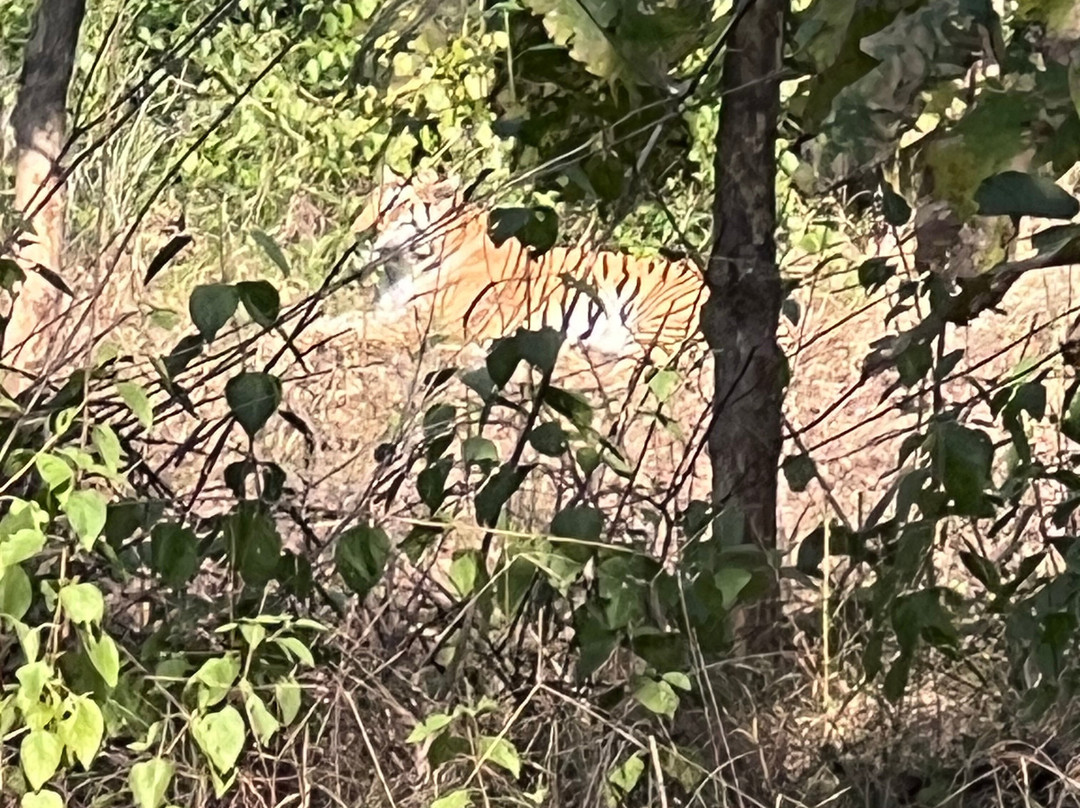 Sahil Tours And Travels-Umaria必去景点