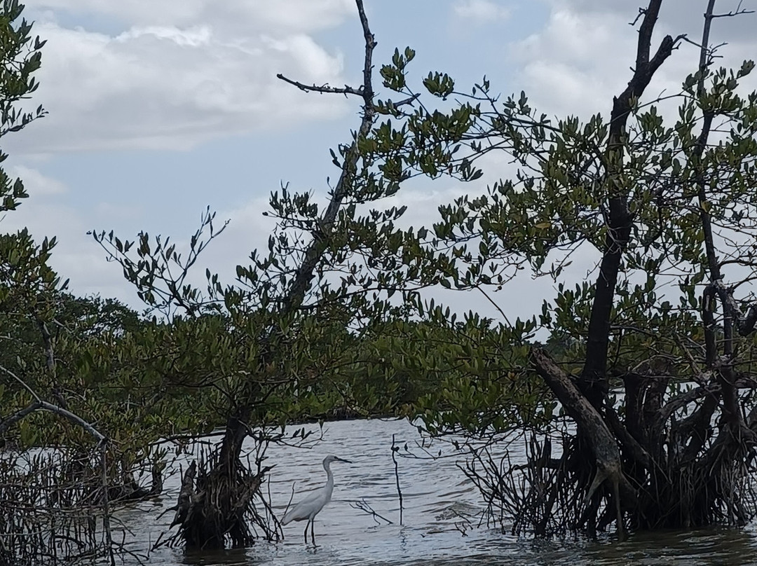 TAROA TOURS-Riohacha必去景点