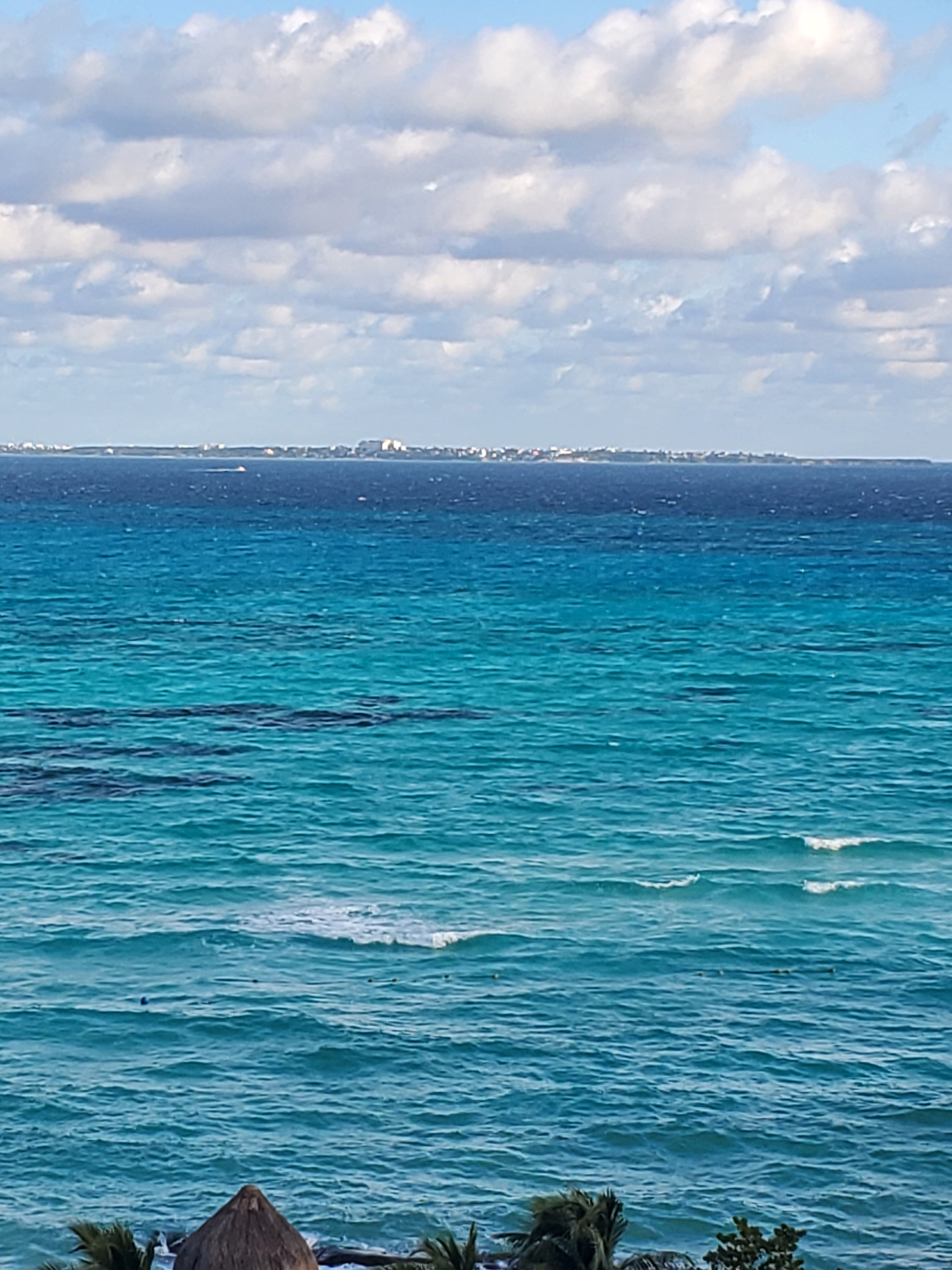 大美洲庆典珊瑚海滩酒店-泳池