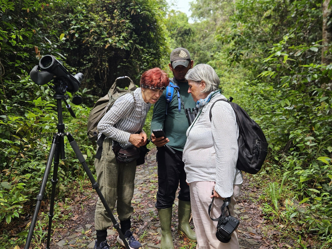 Ujung Kulon Tourism-Carita必去景点