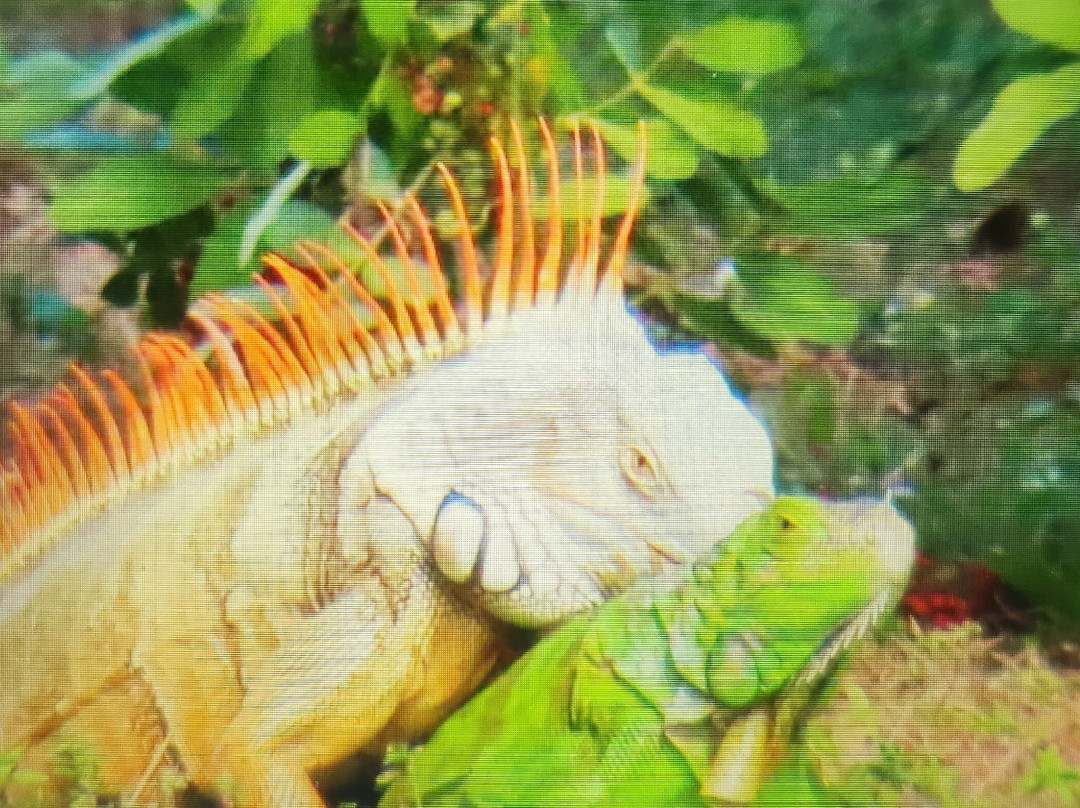 Peaceful Waters Sanctuary-Wellington必去景点