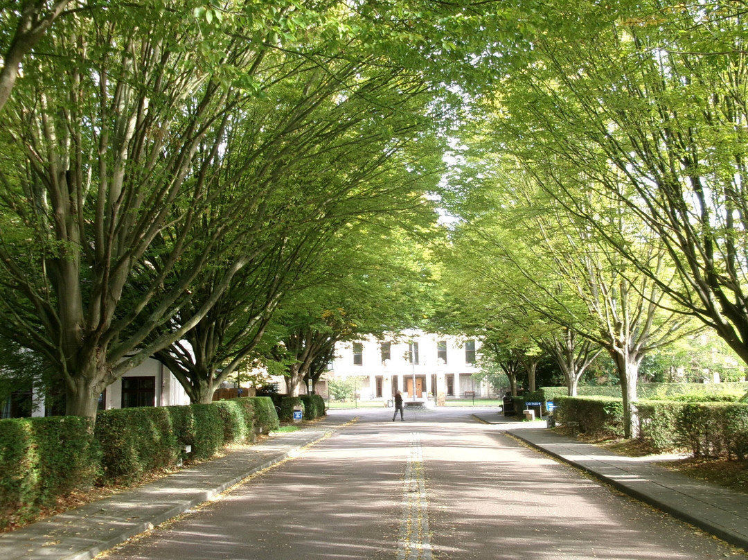 Wolfson College-剑桥必去景点