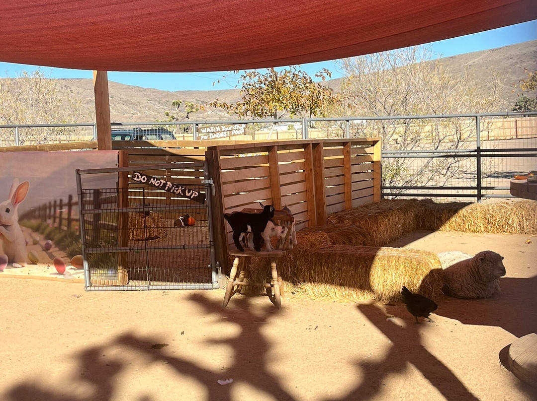 Pioneertown-Pioneertown必去景点