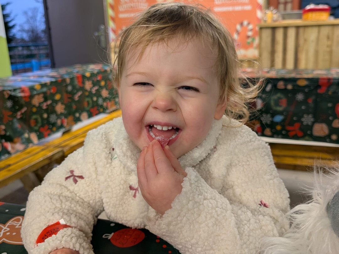 Manorafon Farm Park-Abergele必去景点