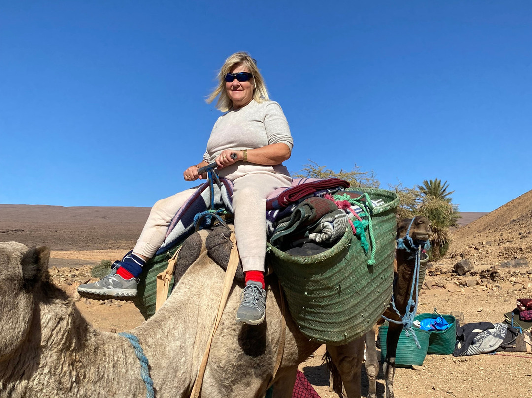 Loud Sahara Day Tours-扎古拉必去景点