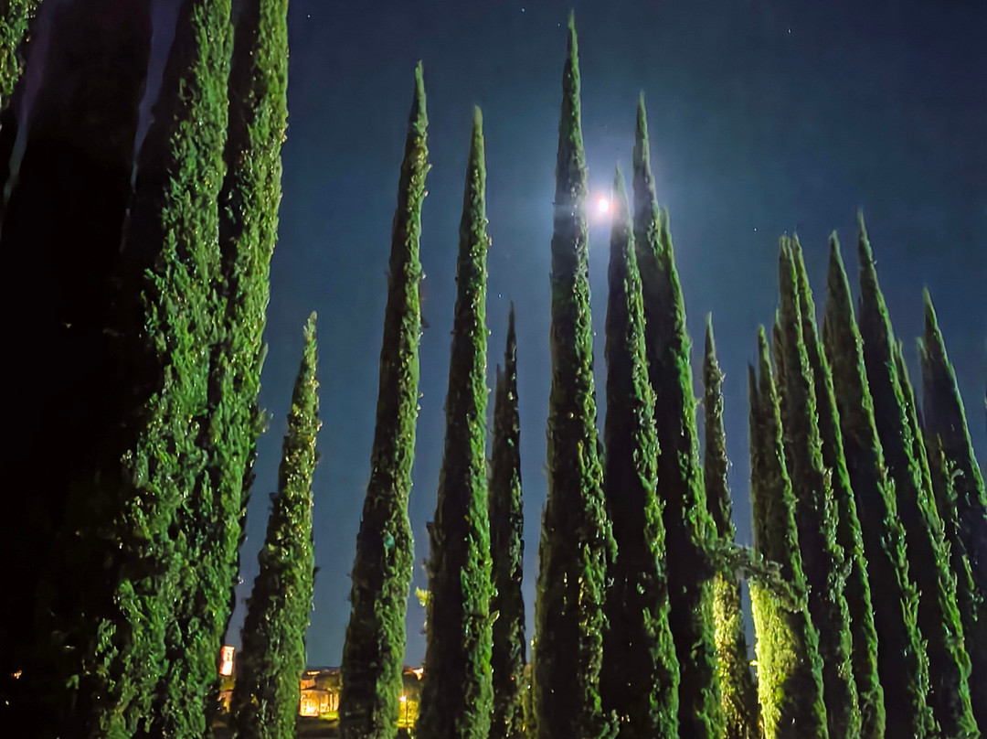 Cantina Lungarotti - Torgiano-Torgiano必去景点