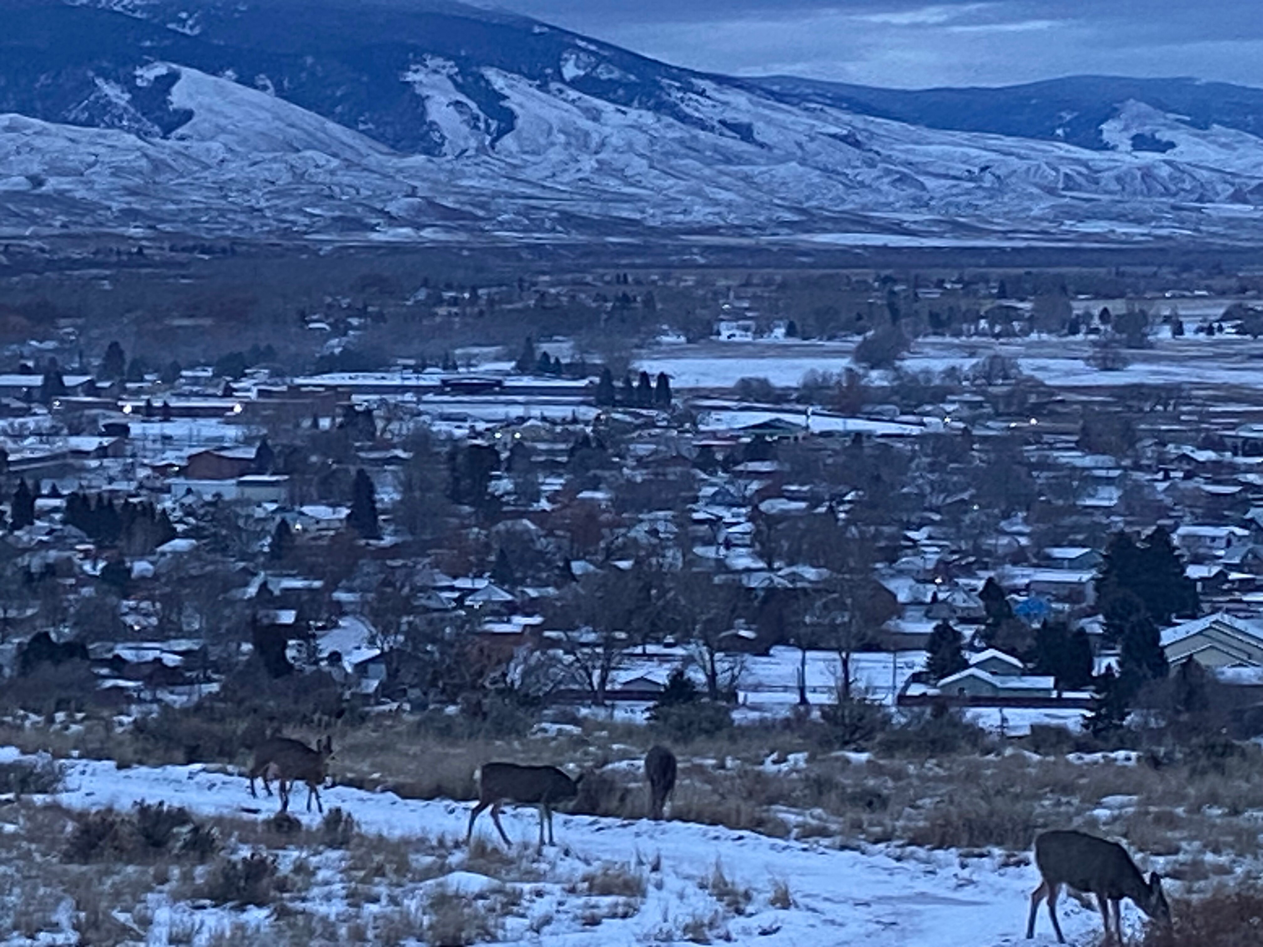 Syringa Lodge-浴室