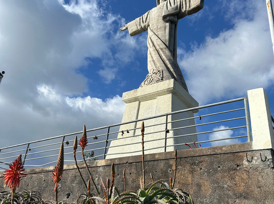 Flora Travel Madeira - Day Tours & Walks-沙尔必去景点
