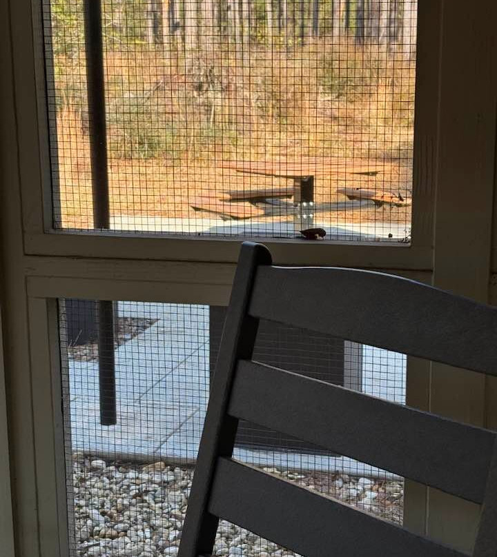 George L. Smith Park-Twin City必去景点