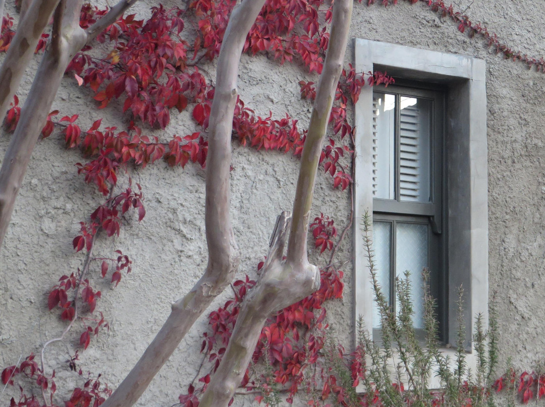 Riebeek Kasteel酒店住宿-Gabriella's Accommodation