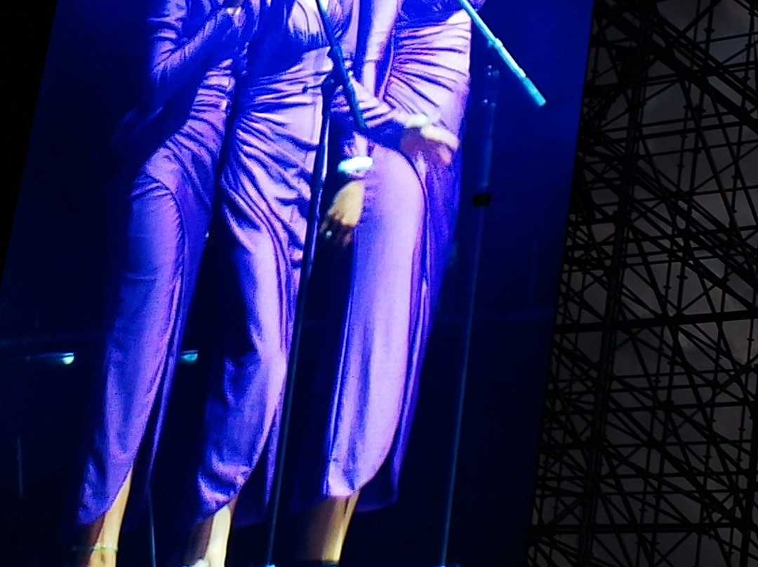 Campo Argentino de Polo-布宜诺斯艾利斯必去景点