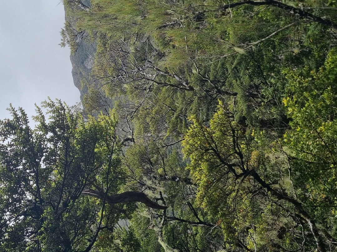 Devils Punchbowl Walking Track-亚瑟隘口国家公园必去景点