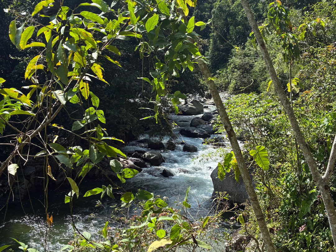 Teyuna Tours-圣玛尔塔必去景点
