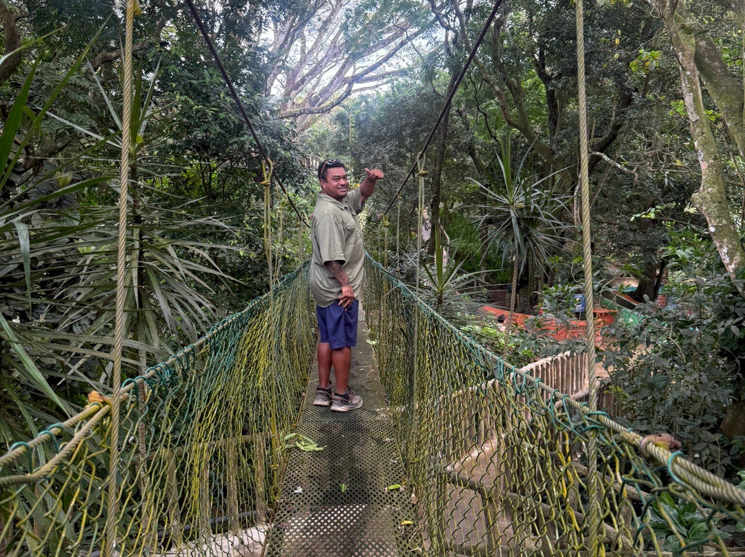 Outdoor Adventures Discover Costa Rica-El Jobo必去景点