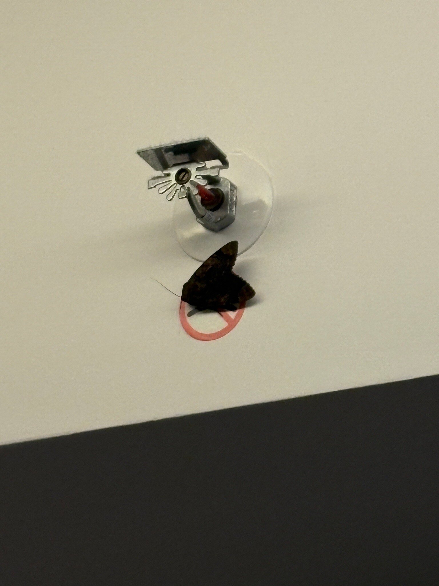 釜山天堂酒店-官方