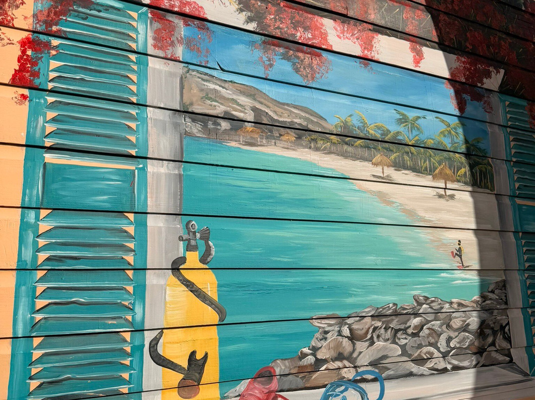 Jan Thiel Diving-威廉斯塔德必去景点