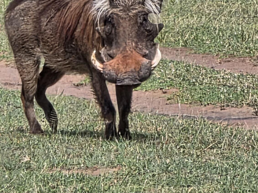 Uganda Family Tours & Travel-Fort Portal必去景点