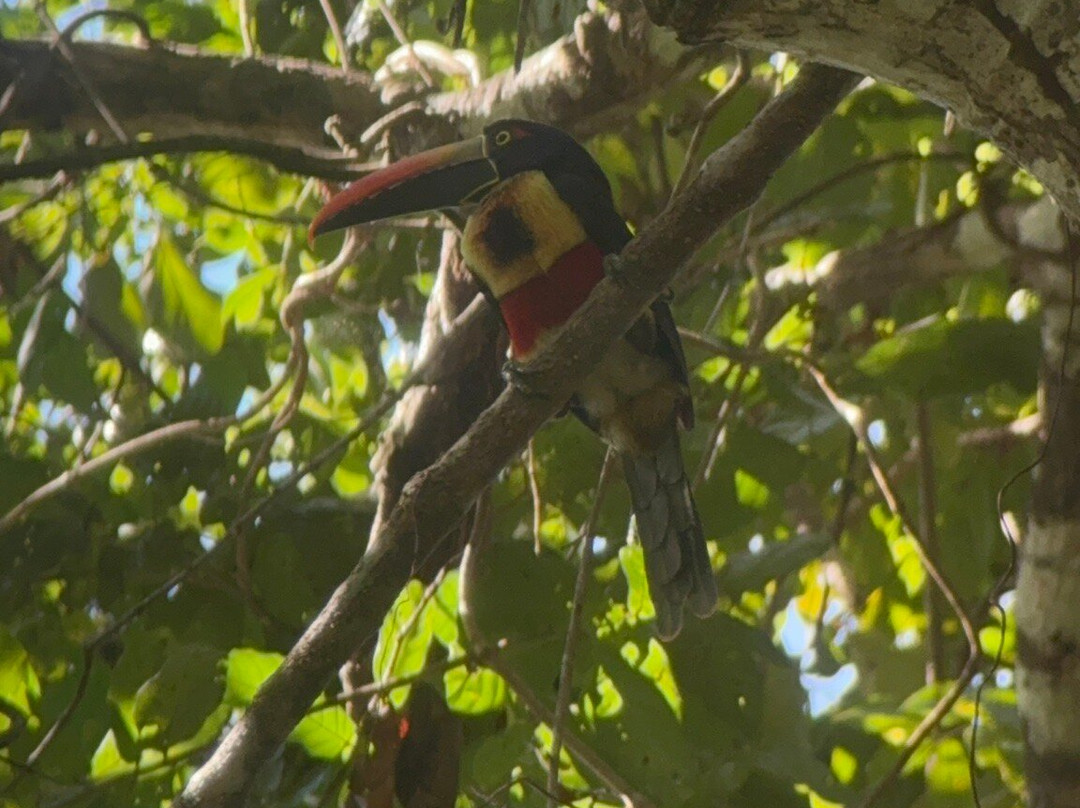 WAKING DREAMS COSTA RICA-圣何塞必去景点