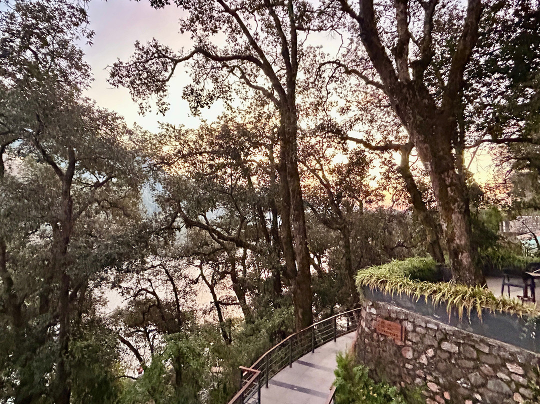 Rosefinch Sarovar Portico主图