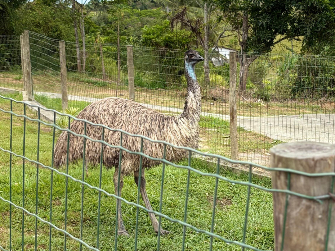 Boaluz Park-Laranjeiras必去景点