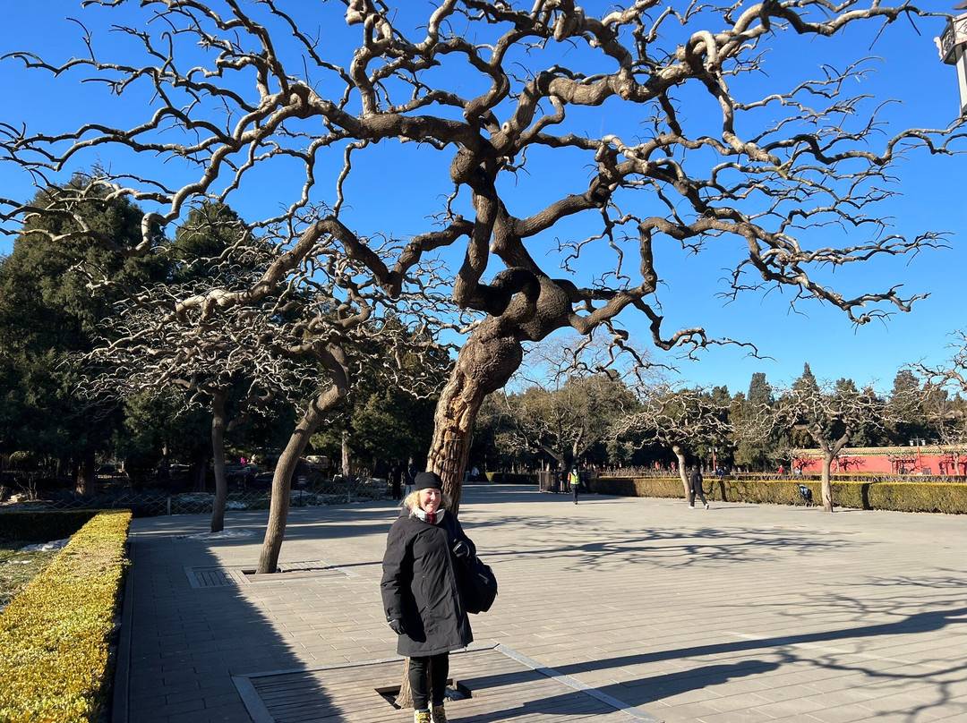 Skye的北京一日游-北京市必去景点