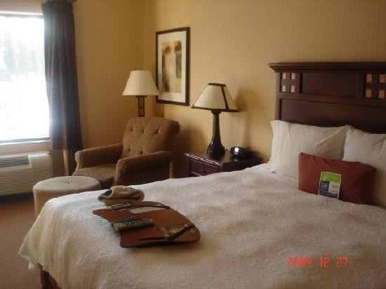 Martis Valley Lodge, Tapestry Collection by Hilton