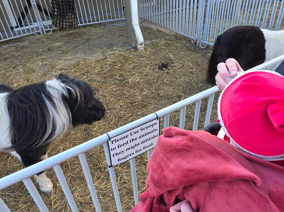 Winchester Creek Farm-韦恩斯维尔必去景点