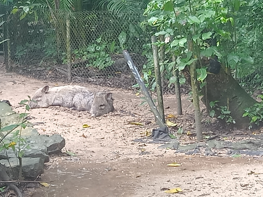 Aluxes Ecoparque-帕伦克必去景点